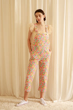 WARM MULTI-COLOR  OVERALL PANTS